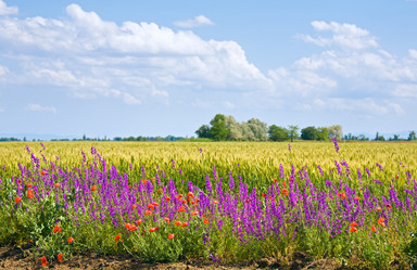 Similar image 422613