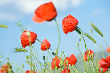 Similar image 422621