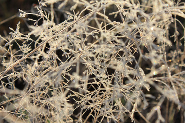 Similar image 422648