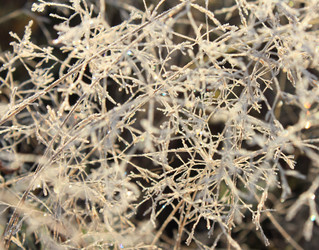 Similar image 422649