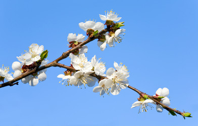 Similar image 422695