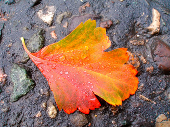 Similar image 422906