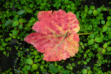 Similar image 422916