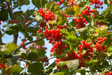 Similar image 422922