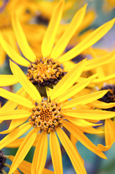 Similar image 423029