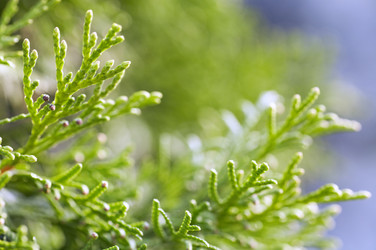 Similar image 423057