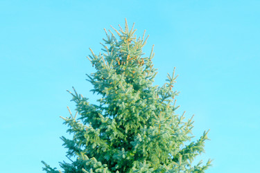 Similar image 423078