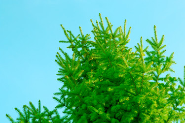 Similar image 423079