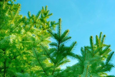 Similar image 423082