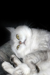 Similar image 423094