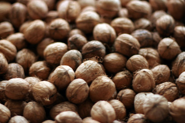 Similar image 423108