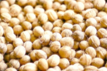 Similar image 423109