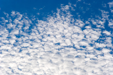 Similar image 423123