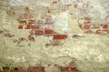 Similar image 423148