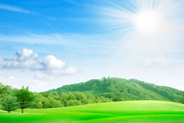 Similar image 423175