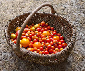 Similar image 423181