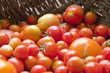 Similar image 423191