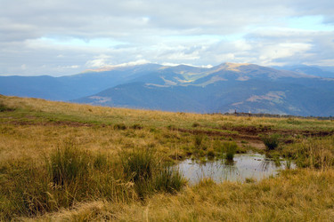 Similar image 423205