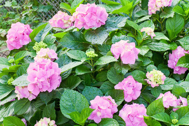 Similar image 423215