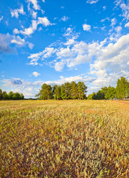 Similar image 423223