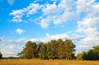 Similar image 423226