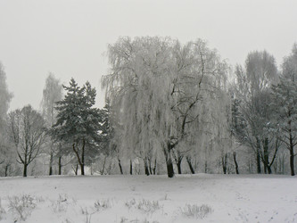 Similar image 423240