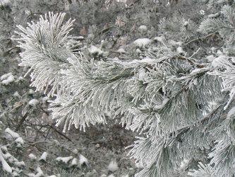 Similar image 423245