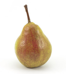 Similar image 423247