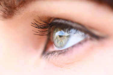 Similar image 423263