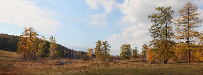 Similar image 423284