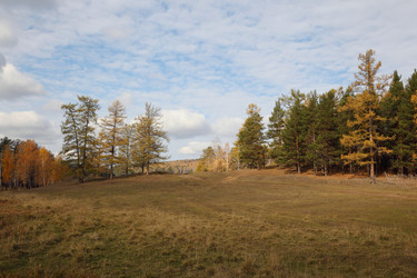 Similar image 423285