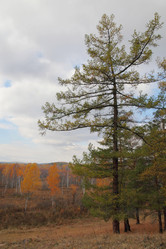 Similar image 423287