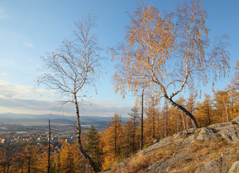 Similar image 423288