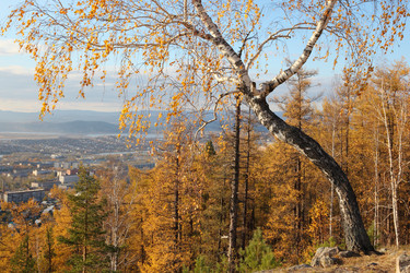 Similar image 423293