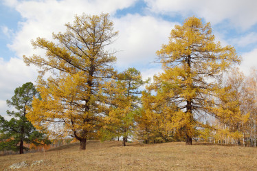 Similar image 423295