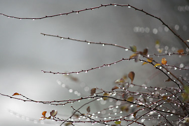 Similar image 423298