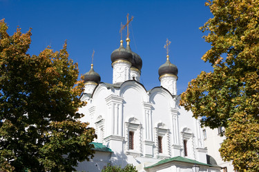 Similar image 423321