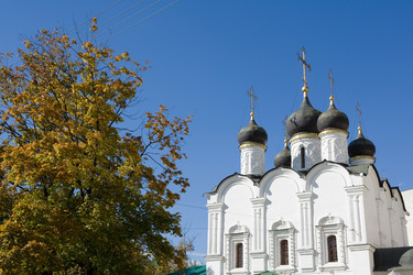 Similar image 423323