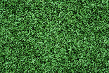 Similar image 423429