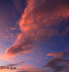 Similar image 423433