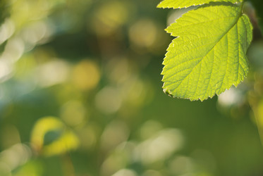 Similar image 423441