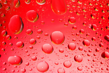 Similar image 423450