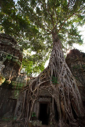 Similar image 423590