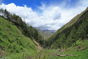 Similar image 423614