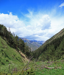 Similar image 423615