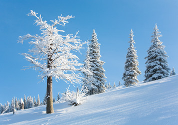 Similar image 423714