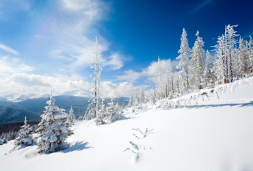 Similar image 423716