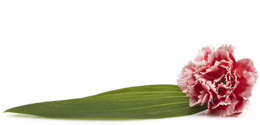 Similar image 423767