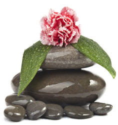 Similar image 423772