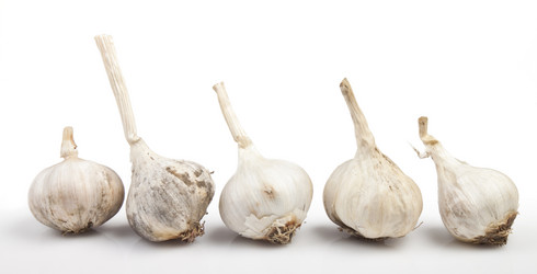 Similar image 423778